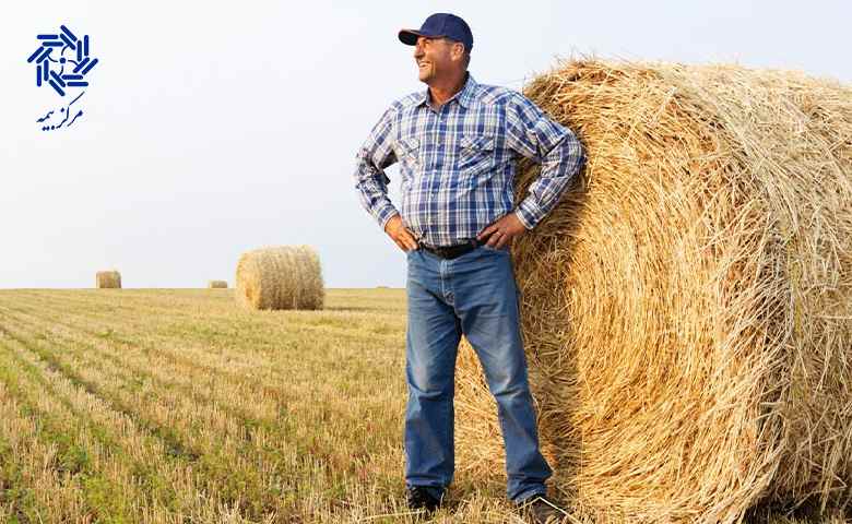 سیاست ‌های حمایتی سالانه